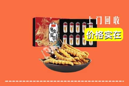 湛江市回收冬虫夏草
